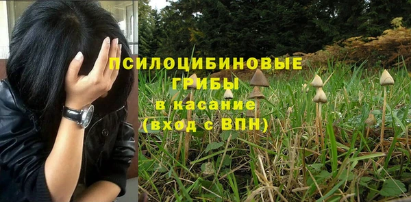 герыч Алексин