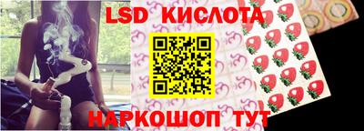 прущие грибы Чебоксары