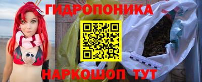 прущие грибы Чебоксары