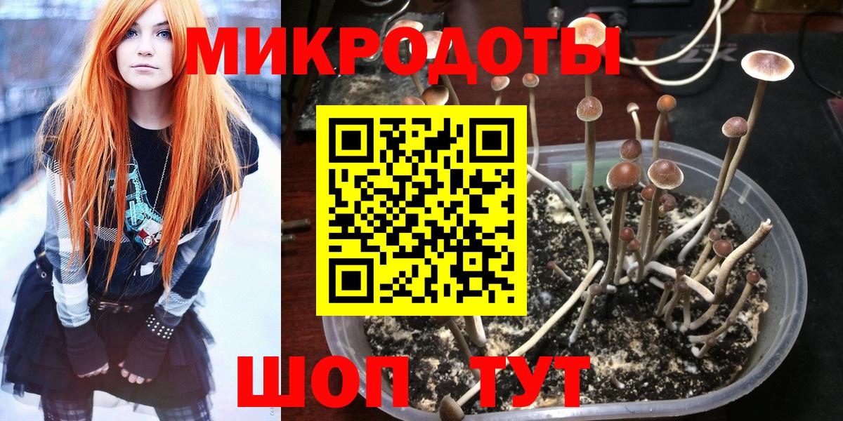 Псилоцибиновые грибы мухоморы  Вход с VPN  Тейково 