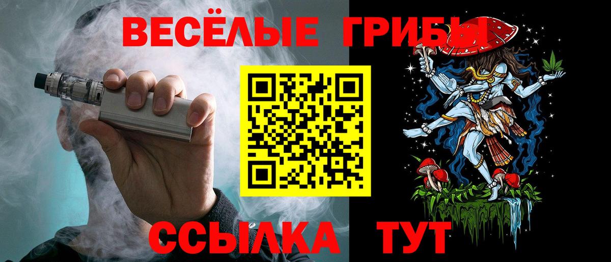 Псилоцибиновые грибы мицелий Тейково